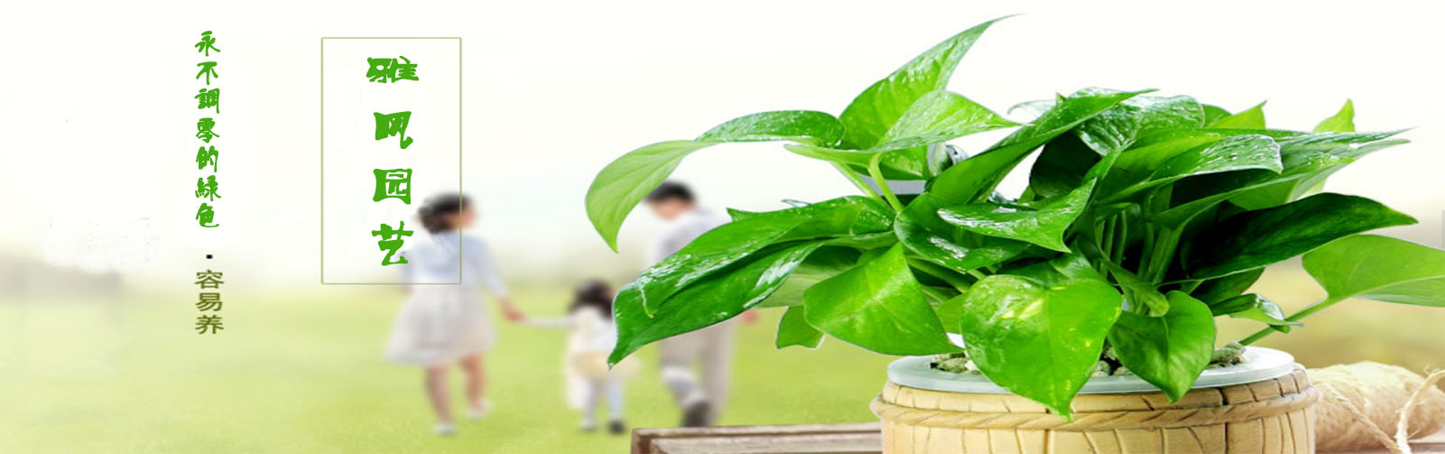 西安綠植租擺